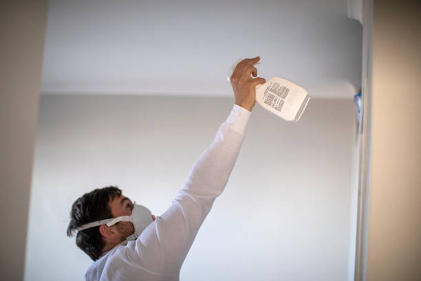 Best Mold Remediation  in Northport, NY