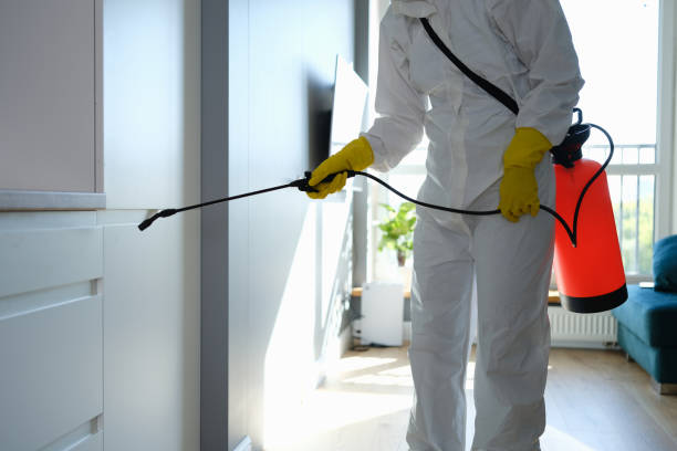 Best Commercial Mold Removal  in Northport, NY